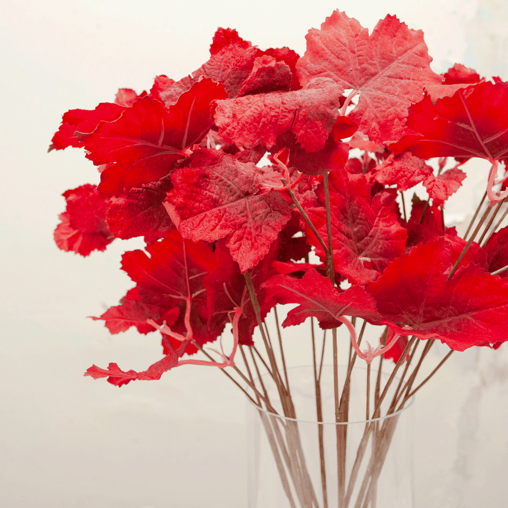Grape leaf spray in a vibrant red Peony