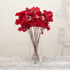 Grape leaf spray in a vibrant red Peony