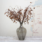 Long Stemmed, Pine Cones on a Woody Branch. Peony