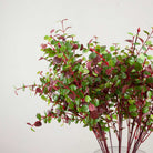 Red / Brown Eucalyptus Spray Peony