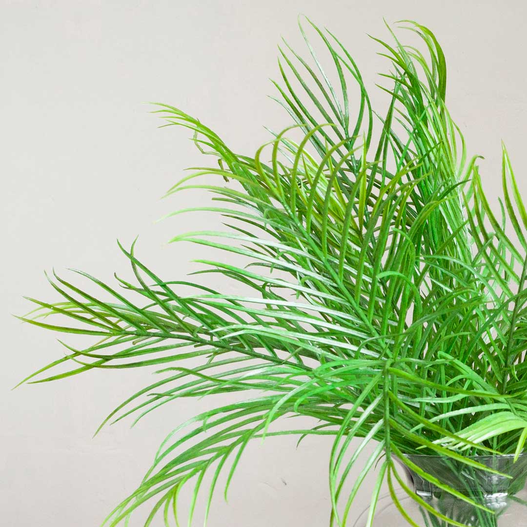 Areca Palm Leaves on a Long Stem Peony
