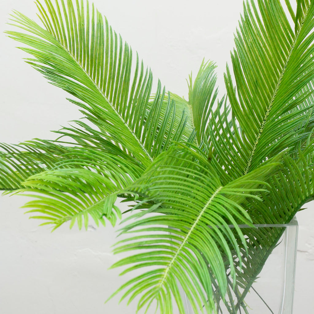 Green palm leaf. Peony