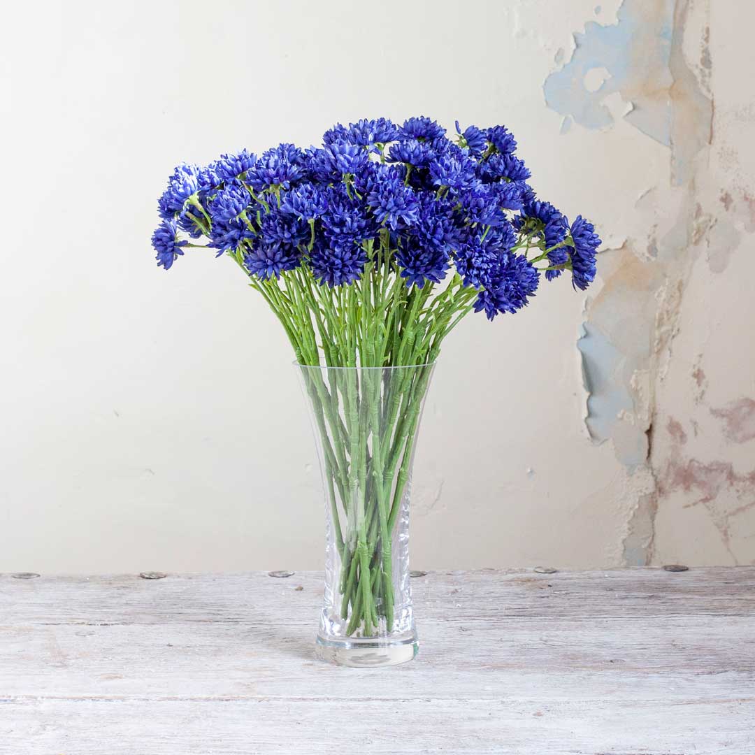 Blue Cornflowers on a Long Stem Peony
