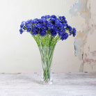 Blue Cornflowers on a Long Stem Peony