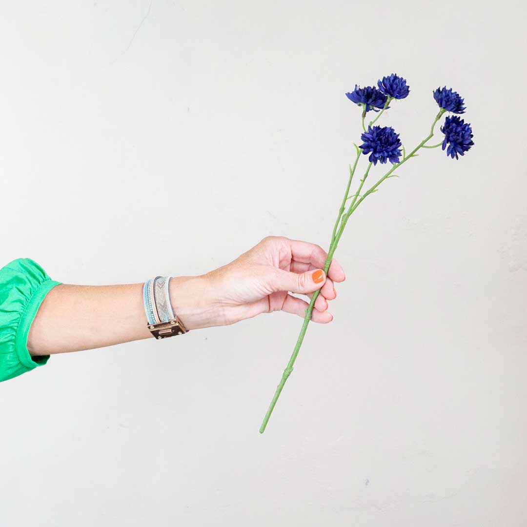 Blue Cornflowers on a Long Stem Peony