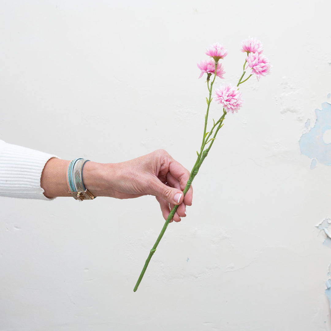 Pale pink corn flowers