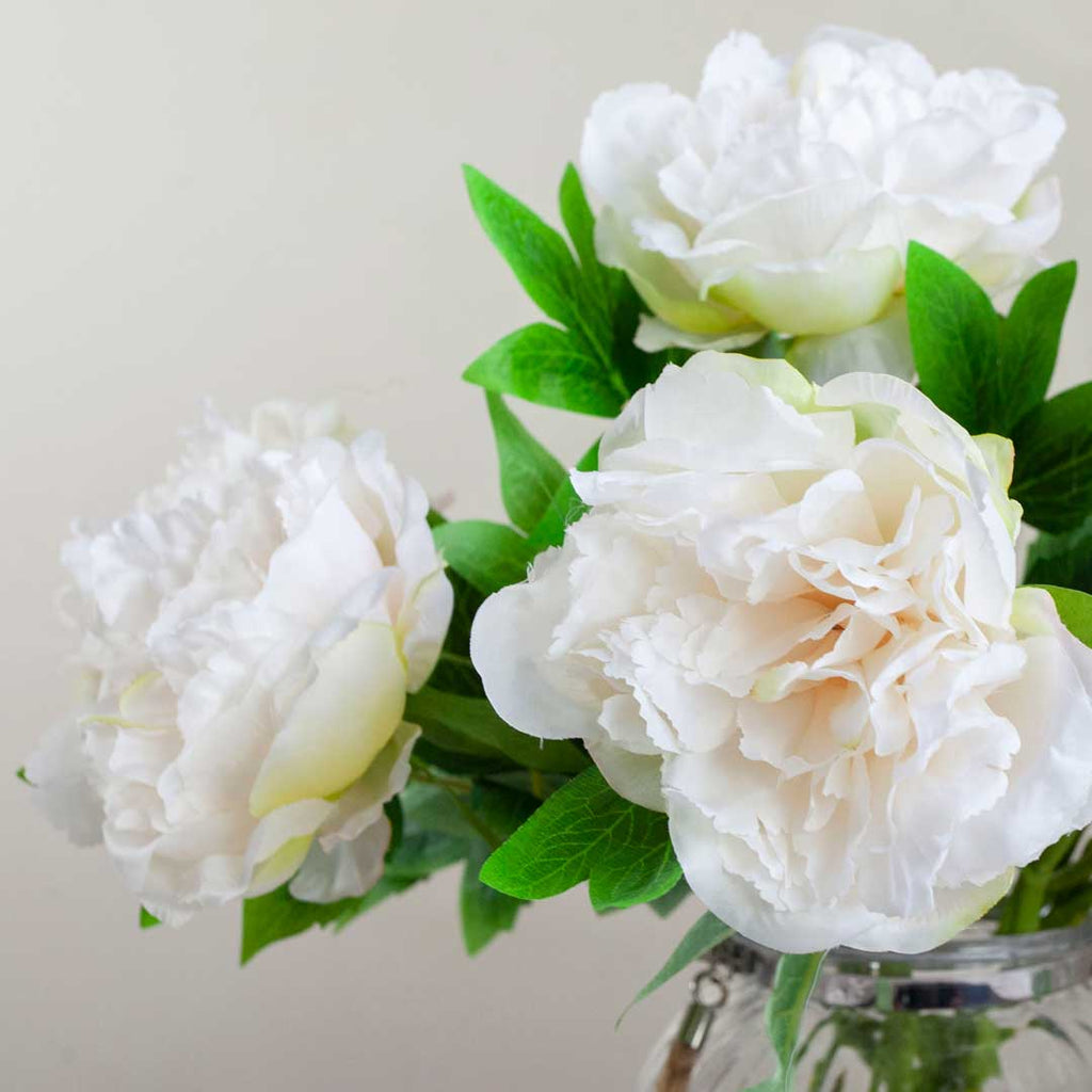 White Peony with Leaves on a Long Stem Peony