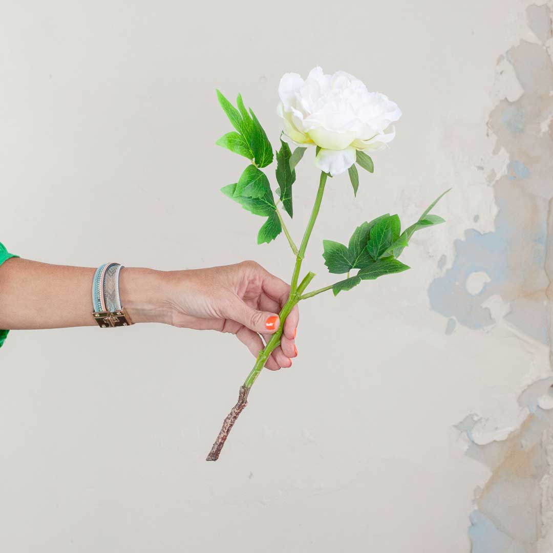 White Peony with Leaves on a Long Stem Peony