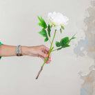 White Peony with Leaves on a Long Stem Peony