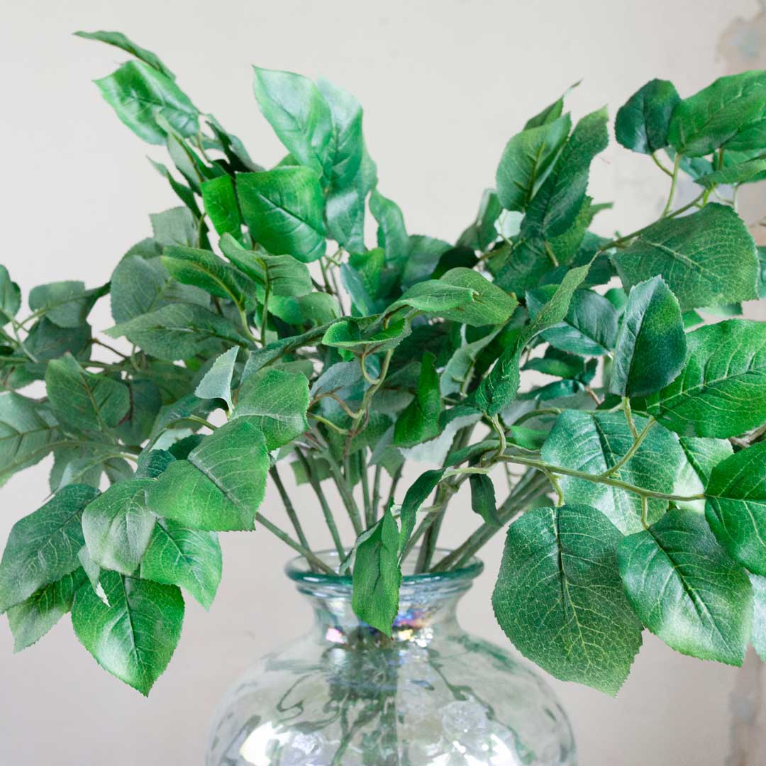 Green Rose Leaves Peony