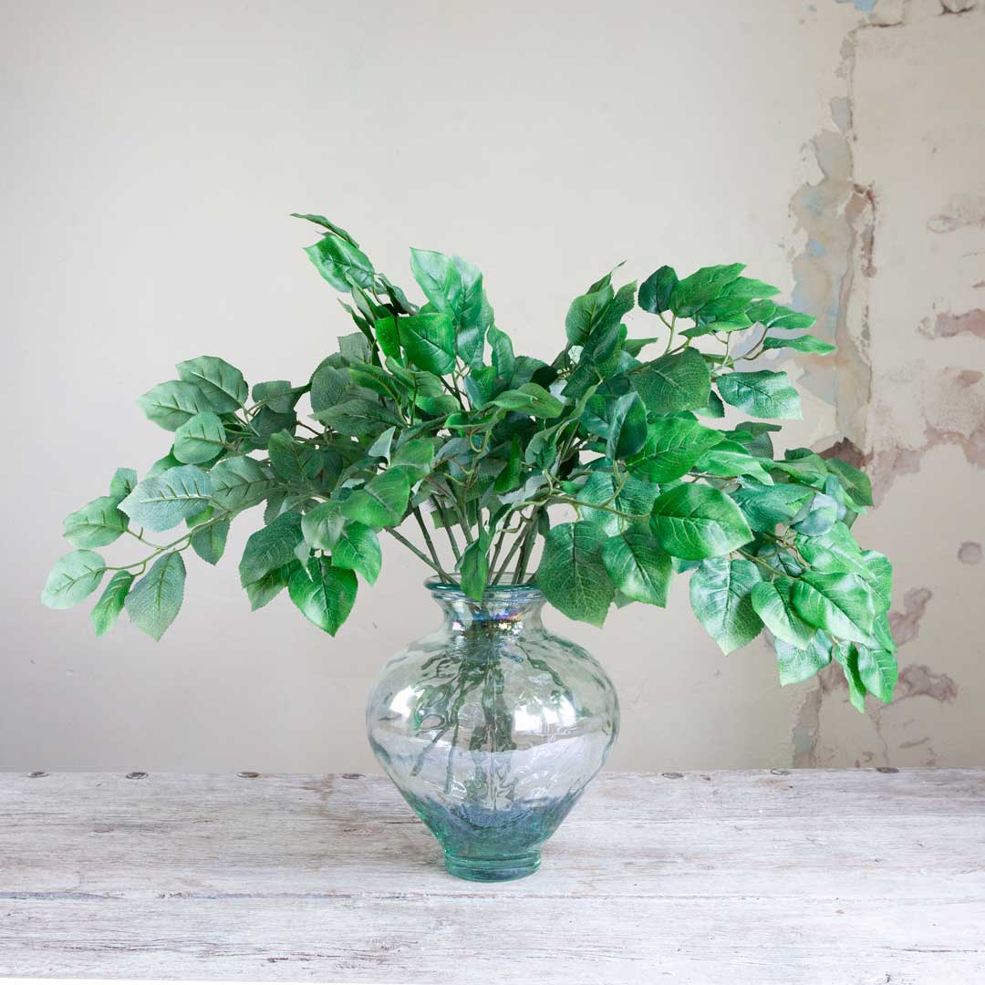 Green Rose Leaves Peony