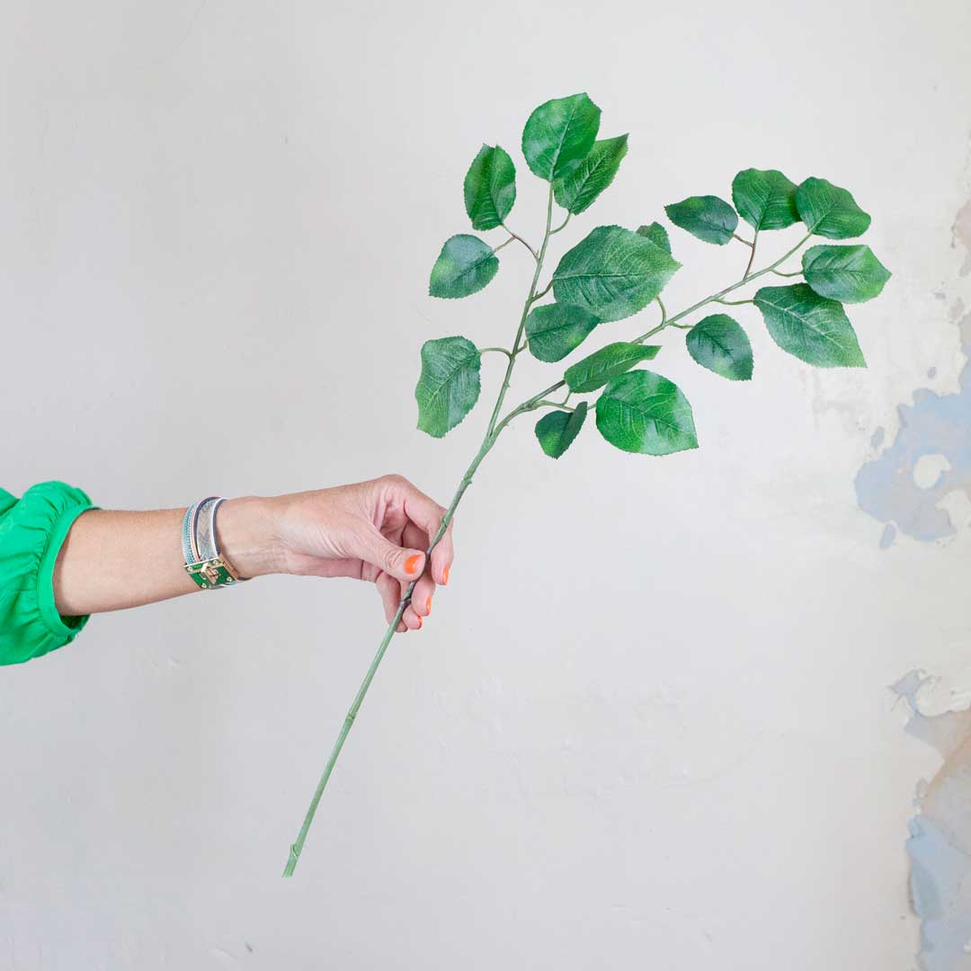 Green Rose Leaves Peony