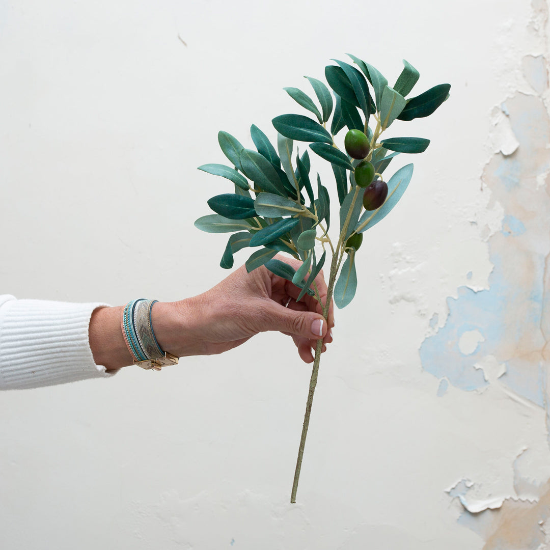 Olive branch with olives and sage green leaves.