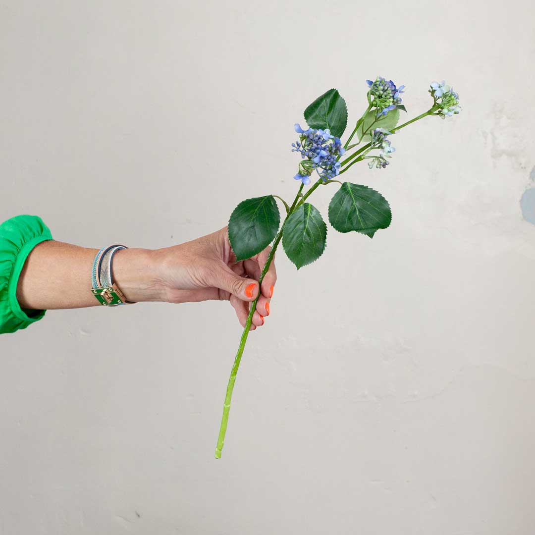 Blue Viburnum Stem with Leaves Peony