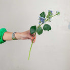 Blue Viburnum Stem with Leaves Peony