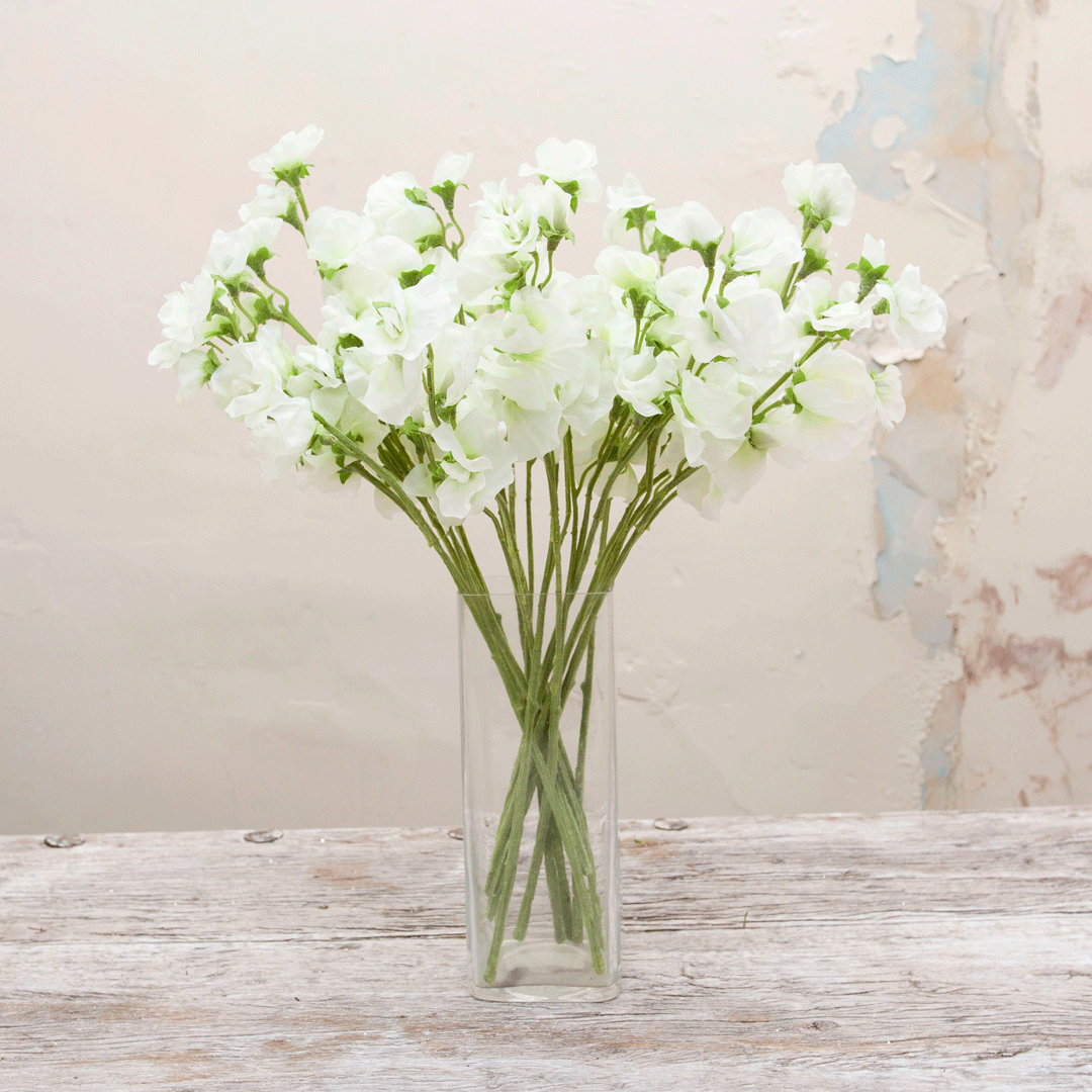 Bridal white sweet peas Peony
