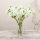 Bridal white sweet peas Peony