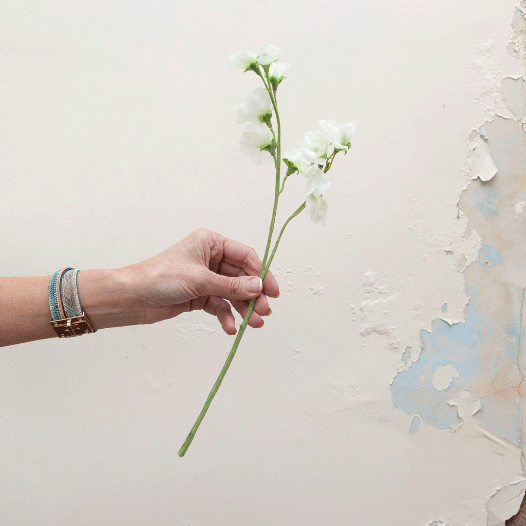 Bridal white sweet peas Peony