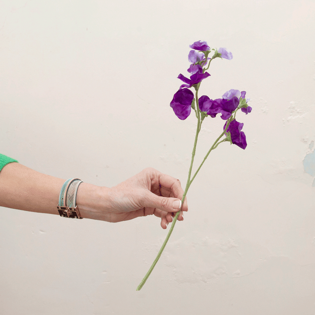 Pale purple sweet peas Peony