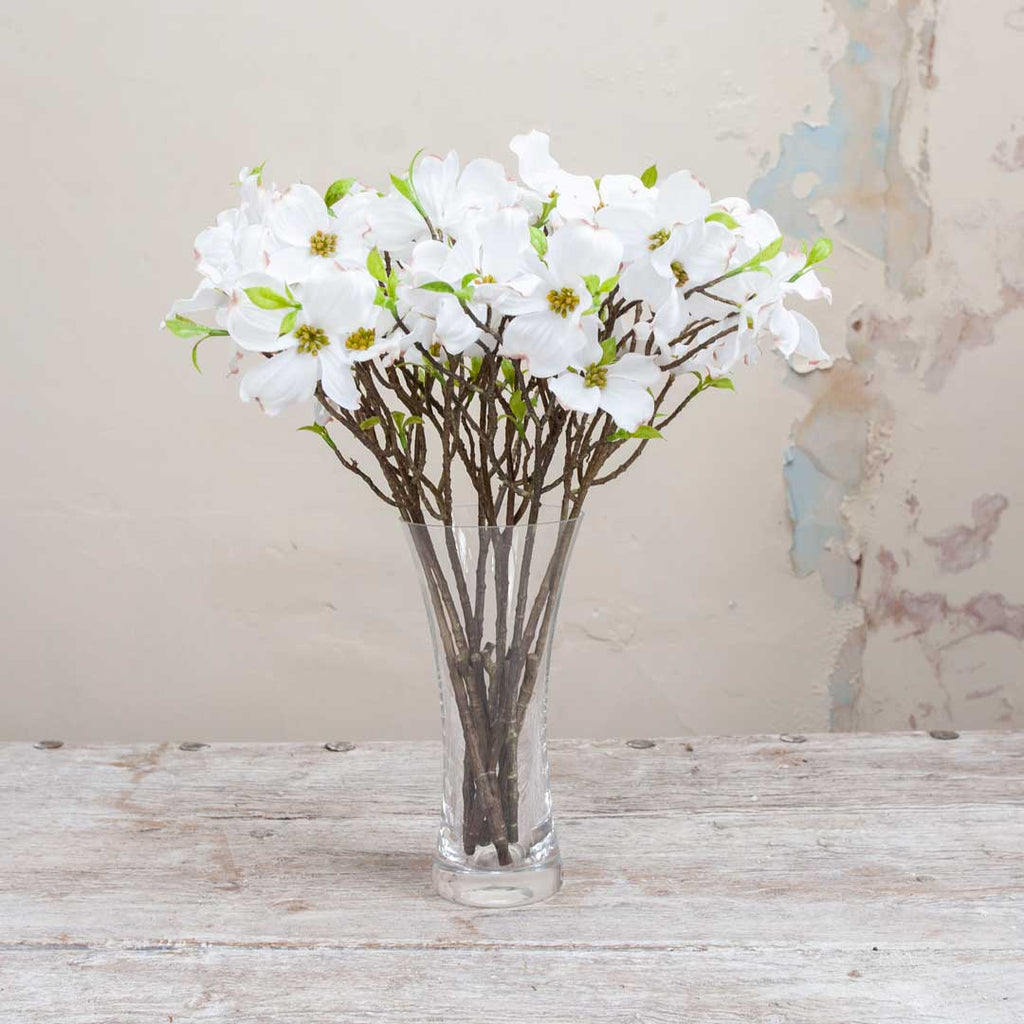 Bridal White Cornus on a Long Woody Stem Peony