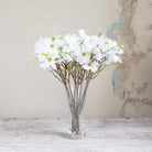 Bridal White Cornus on a Long Woody Stem Peony