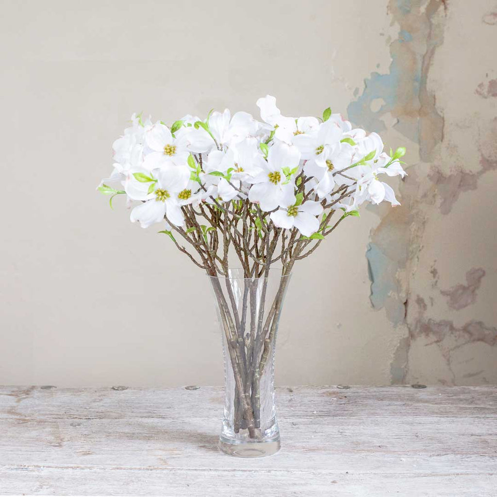 Bridal White Cornus on a Long Woody Stem Peony