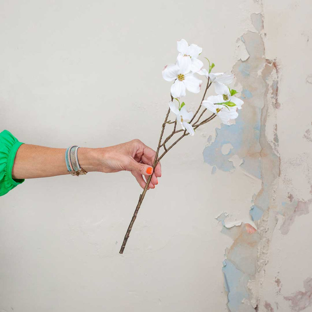 Bridal White Cornus on a Long Woody Stem Peony