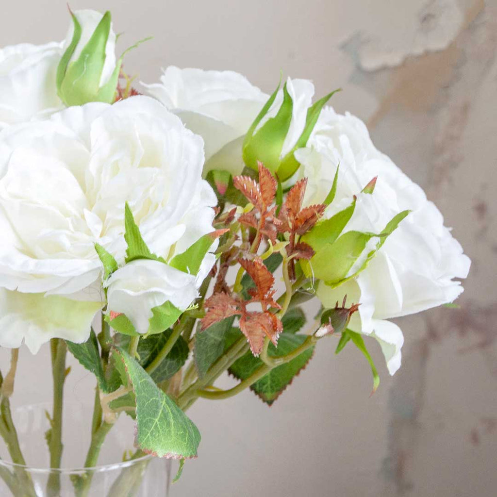 Bridal White Old English Rose Stem with Buds and Leaves Peony