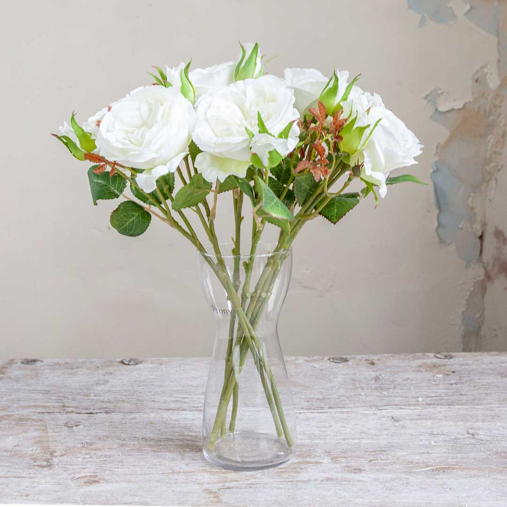 Bridal White Old English Rose Stem with Buds and Leaves Peony