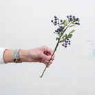 A dark blueberry pick with green leaves.