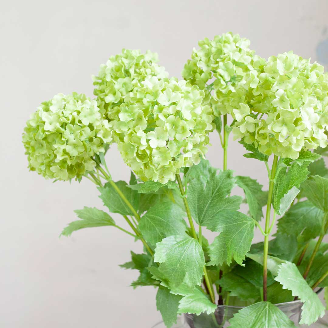 Viburnum on a Long Stem with Leaves Peony