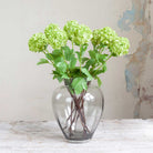Viburnum on a Long Stem with Leaves Peony