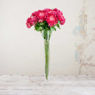 Fuchsia Chrysanthemum with Leaves on a Long Stem Peony