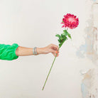 Fuchsia Chrysanthemum with Leaves on a Long Stem Peony