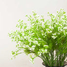 Cow Parsley with Leaves on a Long Stem Peony