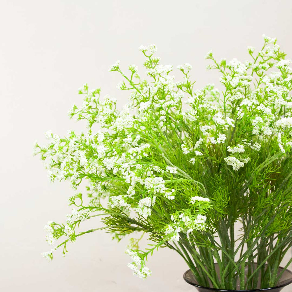 Cow Parsley with Leaves on a Long Stem Peony