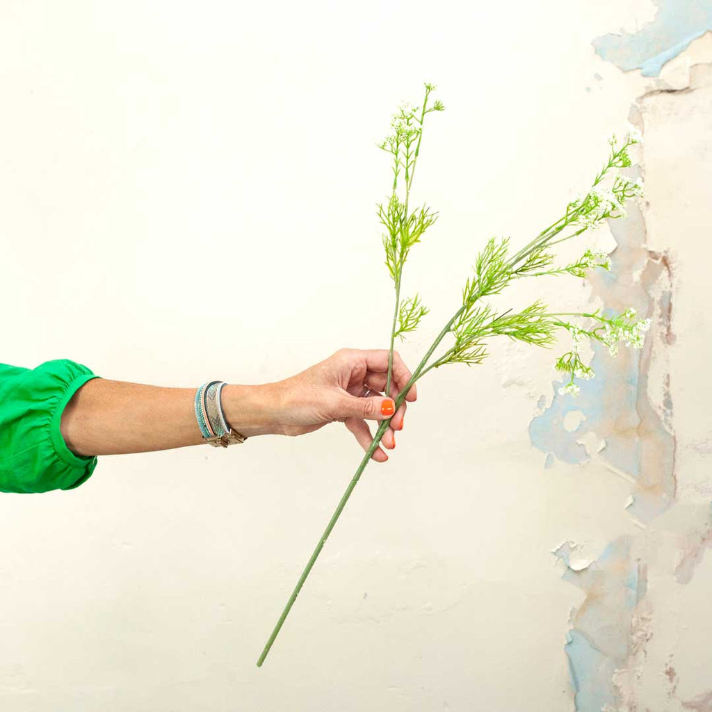 Cow Parsley with Leaves on a Long Stem Peony