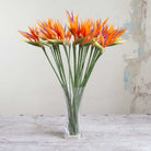 Orange Bird Of Paradise on a Long Stem Peony