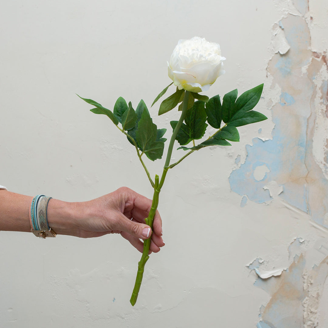 Artificial white peony stem being held in hand, featuring a full layered bloom with realistic green foliage