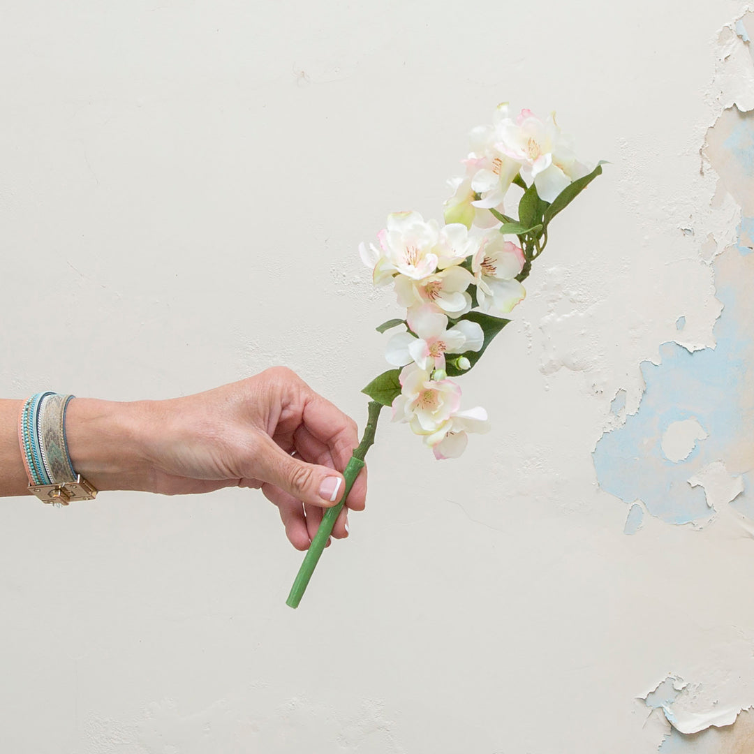 Pretty blossom stem in white with pink.