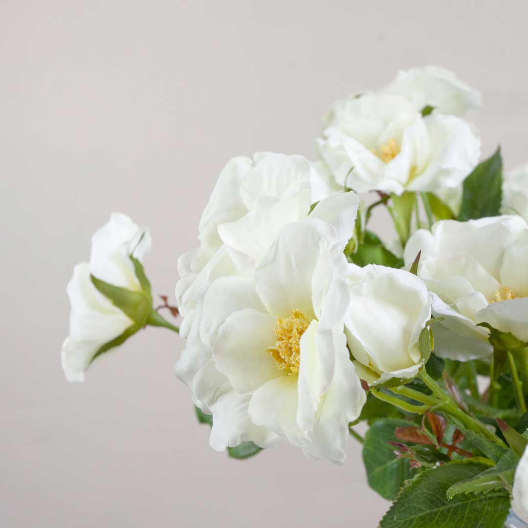White Dogwood Rose Stem with Buds and Leaves Peony