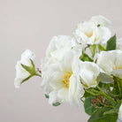 White Dogwood Rose Stem with Buds and Leaves Peony