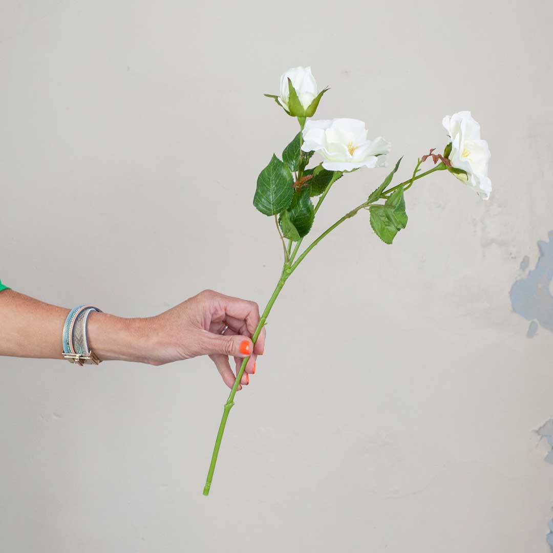 White Dogwood Rose Stem with Buds and Leaves Peony