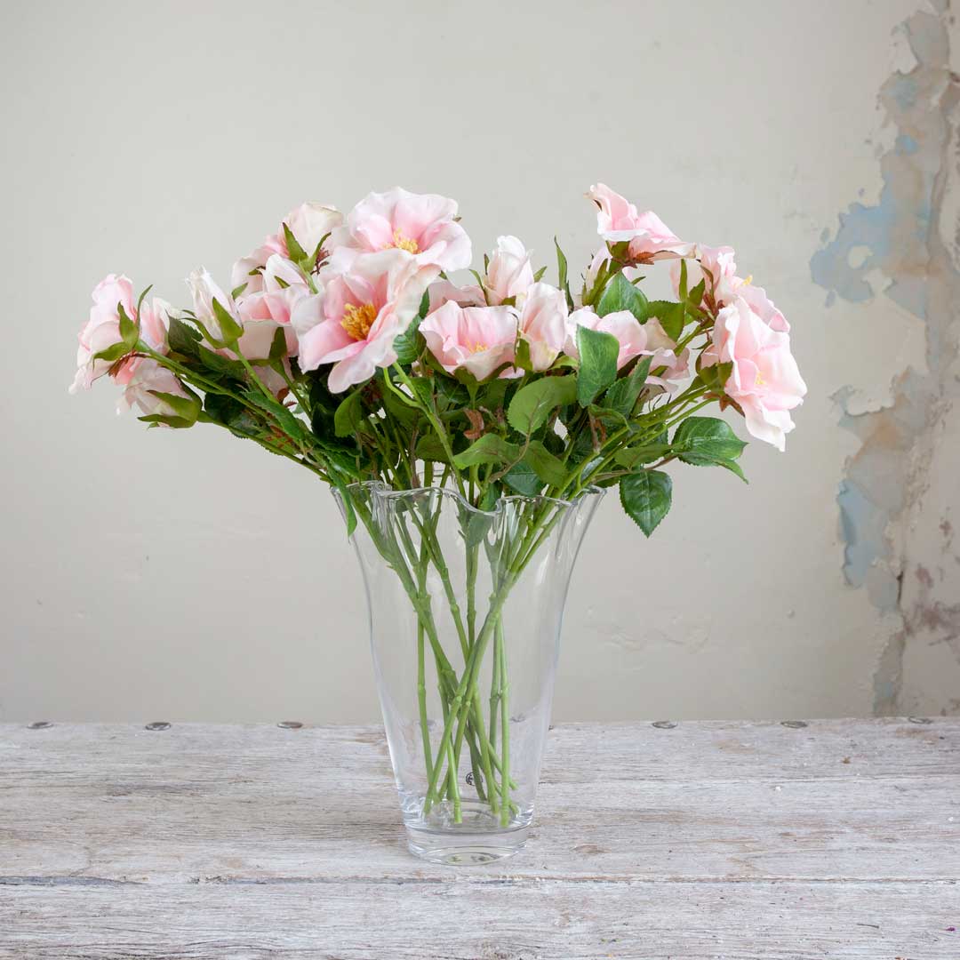 Pale Pink Dogwood Rose with Buds and Leaves on a Long Stem Peony