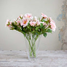Pale Pink Dogwood Rose with Buds and Leaves on a Long Stem Peony