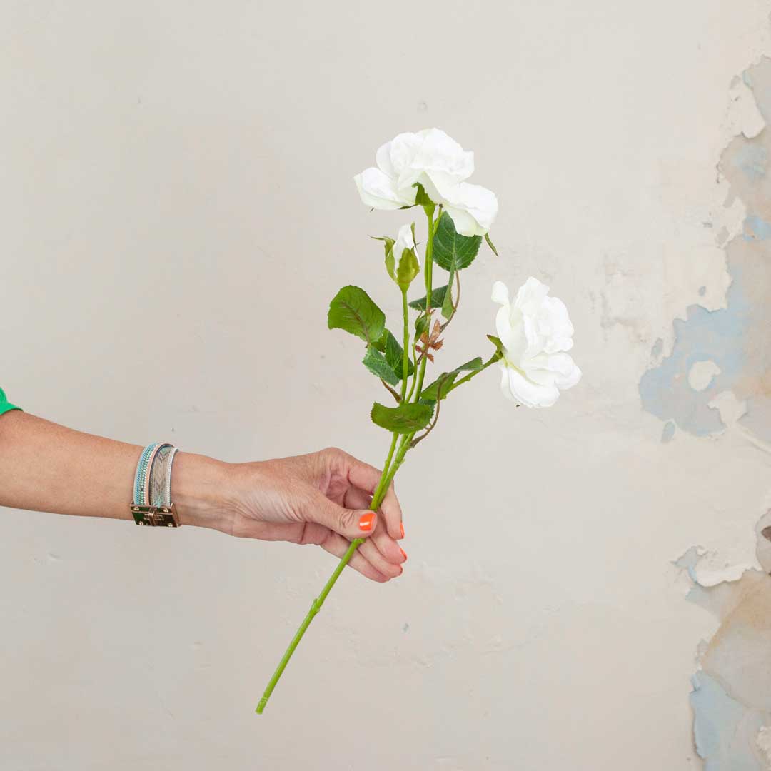 Bridal White Old English Rose with Buds and Leaves on a Long Stem Peony