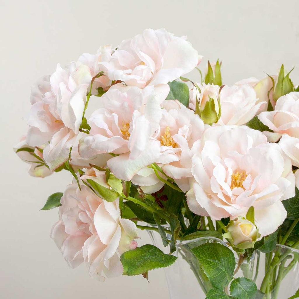 Pink Rose Stem with Buds and Leaves Peony