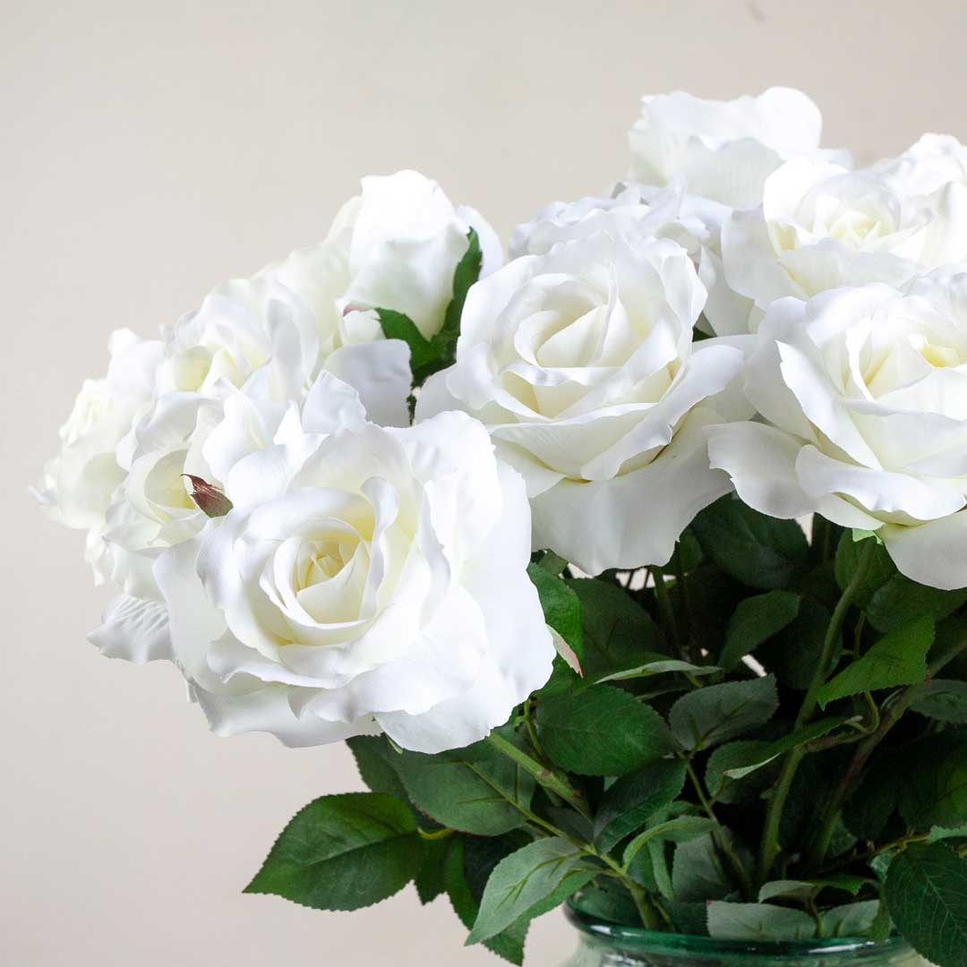 White Rose with Leaves on a Long Stem Peony