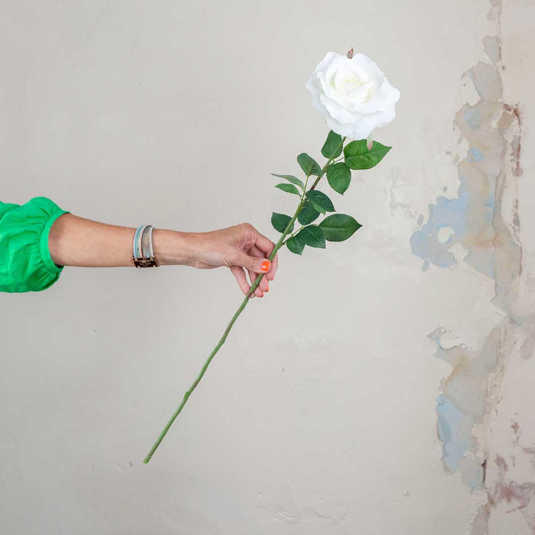 White Rose with Leaves on a Long Stem Peony