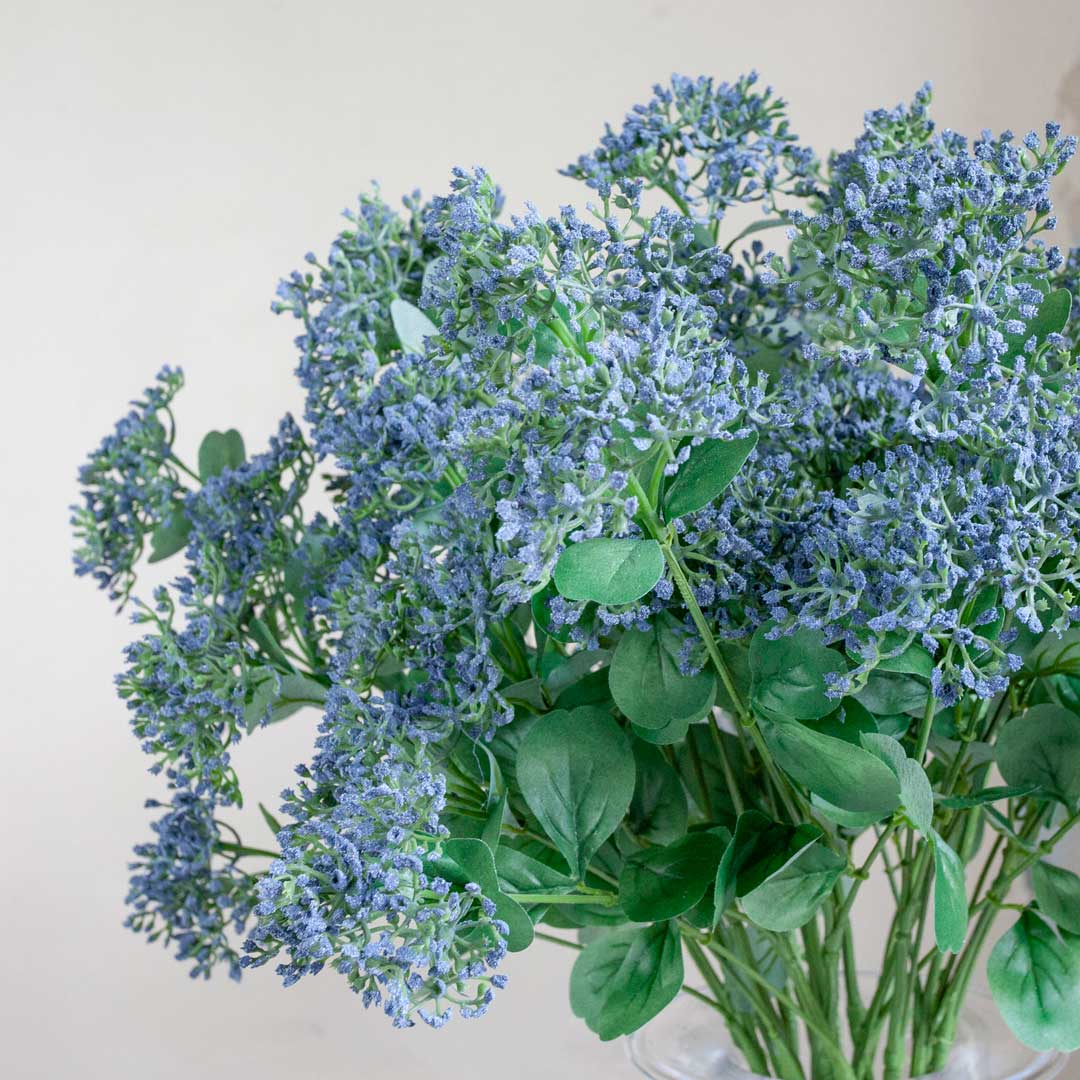 Achillea with Blue Berries and Leaves on a Long Stem Peony